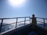 Op zoek naar walvissen tijdens de whale watching tour