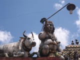 De heilige koe, met spaarlamp (Sri Muthumariamman)