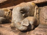 Typische Anuradhapura-feature: de olifantenkop