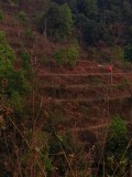 Tijdens het hardlopen in Bandipur