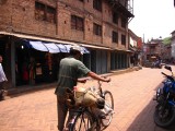Koeienkop achterop de fiets