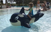 Waterpret!