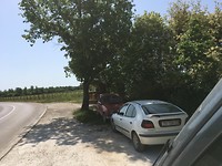 Olijfolie stand