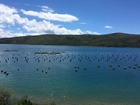 Schitterende plaatjes onderweg naar Split