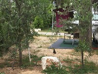 Bezoek op de camping!