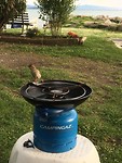 Mus met zelfmoordneigingen?