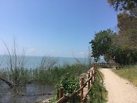 Prima fietspad langs het meer