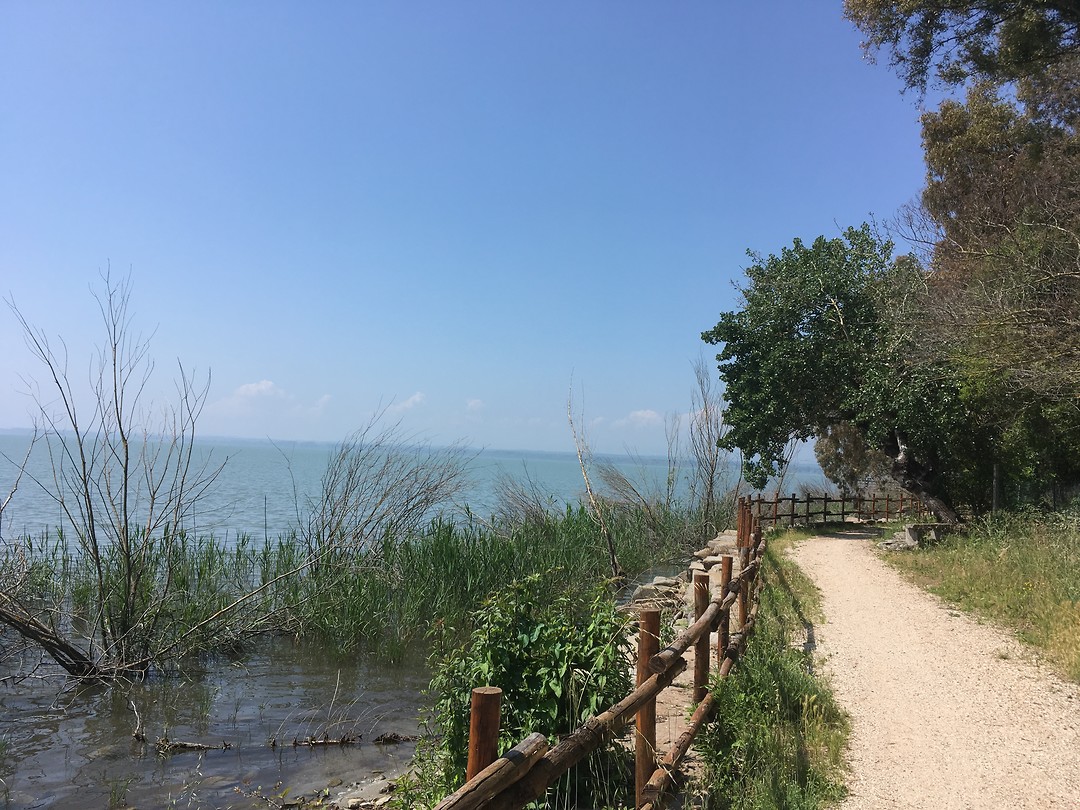 Prima fietspad langs het meer