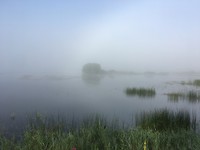 Mistig meertje zo ‘s morgens vroeg