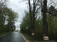 Polski Vlagski