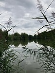 565C242B-005C-4101-BF47-1B9D8AA20EC6