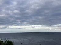 E6905BF5-47EB-463E-A864-335FF9D7E994