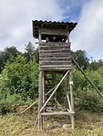 IMG_2195