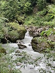 IMG_2356