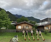 IMG_2441