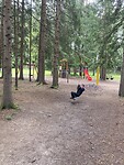 IMG_2605