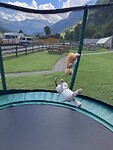 IMG_2845