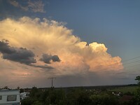 IMG_2946