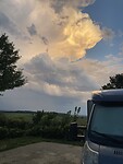 IMG_2993