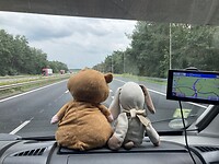IMG_8778
