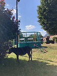 IMG_8799