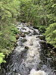 IMG_9399