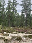 IMG_9471