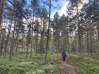 IMG_9641