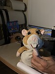 IMG_9661