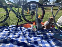 IMG_9790
