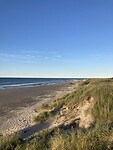 IMG_9930