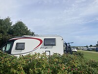 IMG_9956