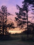 IMG_1083