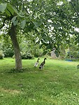 IMG_2104