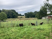 IMG_2110