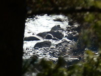152-Woest Everest-water