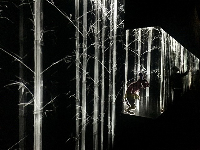 teamLab Borderless
