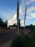 20150826_184725