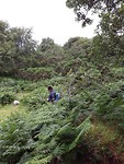 20190704_113759