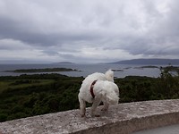 20190704_122549