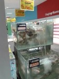 Visje vangen!