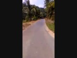 Scooter action