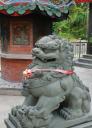 De leeuw voor de Chineze tempel