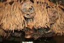 De 'Trofeeën' van de Iban stam in t Sarawak Museum