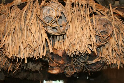 De 'Trofeeën' van de Iban stam in t Sarawak Museum