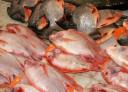 verse vis op de markt in Serian