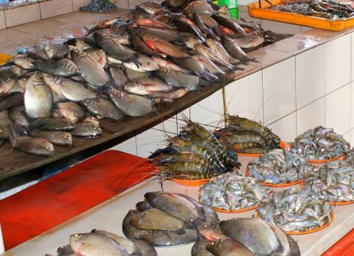 Vis, vis of vis op de markt in Serian