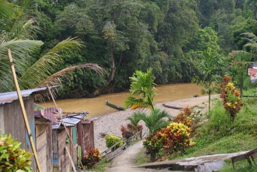 De rivier vanaf de Longhouse gezien