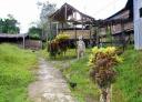 Borneo pics 176