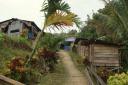 gebied rondom de longhouse